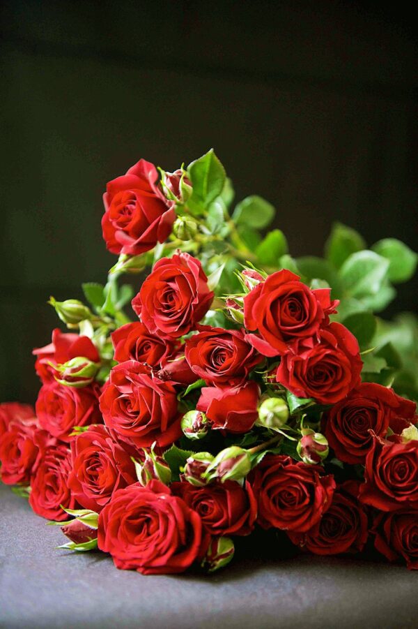 Bouquet de rose